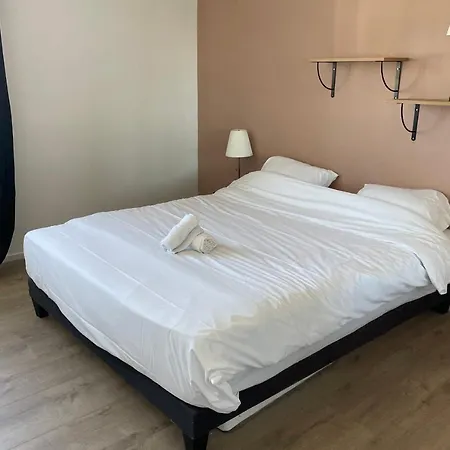 Apartment Les Lys Lumineux Elegant Raffine Tours