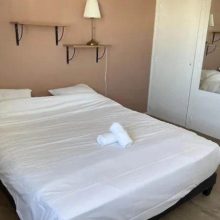 Apartment Les Lys Lumineux Elegant Raffine Tours
